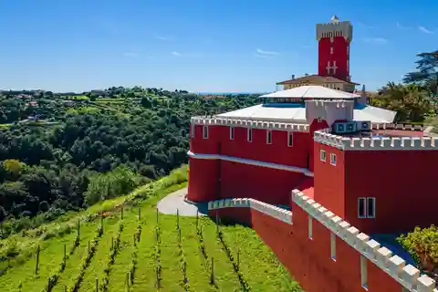 Degustazione di vini, Cannes, stilisti famosi e fabbrica di profumi