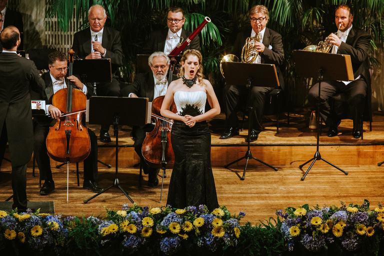 Vienna: Mozart and Strauss Concert at Konzerthaus Category VIP