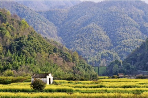 Shanghai: Tonglu Ancient Villages & Fruit-Picking Day Trip