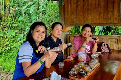 Ubud: Private Half-Day Tour Rice Terrace, Temple & Waterfall Private Half-Day Tour (With Entrance Tickets)