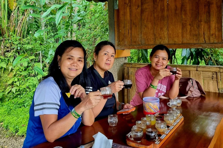 Ubud: Private Half-Day Tour Rice Terrace, Temple & Waterfall Private Half-Day Tour (With Entrance Tickets)