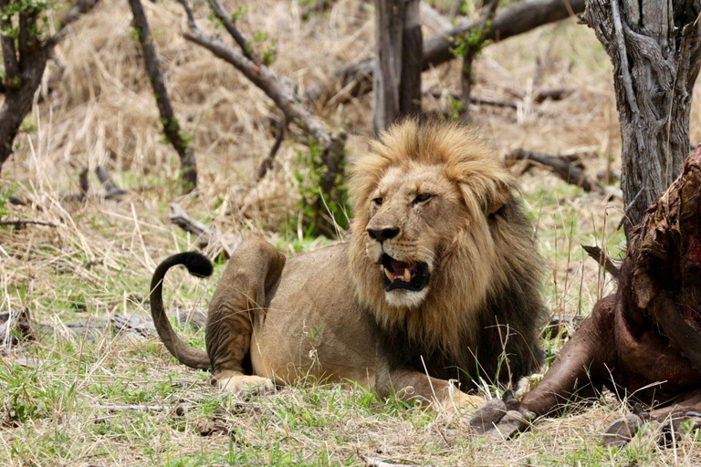 Victoria Falls: Guided Safari in Your Own 4x4 Vehicle
