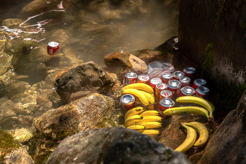 Von Split aus: Rafting, Höhlenerkundung, Klippenspringen mit Picknick