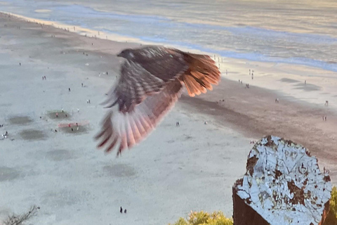 San Francisco: Wild Coast Tour