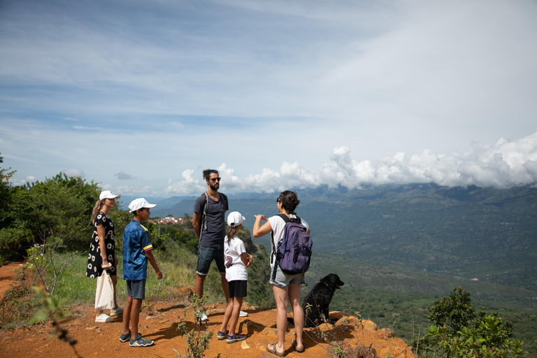 Santander: BioTour wild bees honey and more. Bee Masterclass + honey tasting or beeswax candle tasting