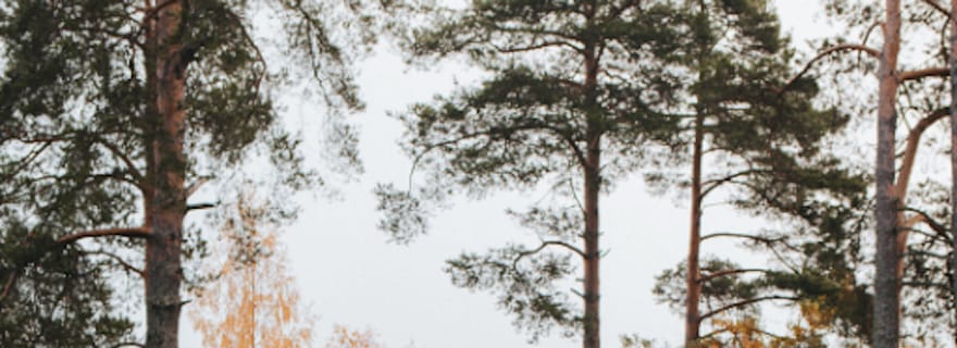 Transferts privés de l'aéroport de Trinidad