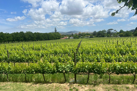 Cidade do Cabo: Elétrico de Franschhoek com prova de vinhos