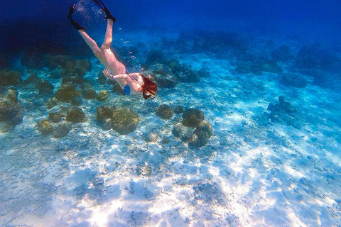 Phuket/Khaolak : excursion d&#039;une journée aux îles Similan avec plongée en apnée