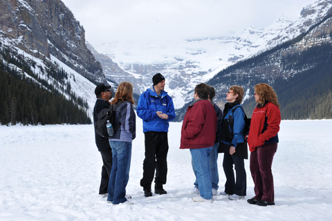 De Banff: Excursão de inverno de meio dia ao Lago LouiseDe Banff: excursão de inverno de meio dia em Lake Louise