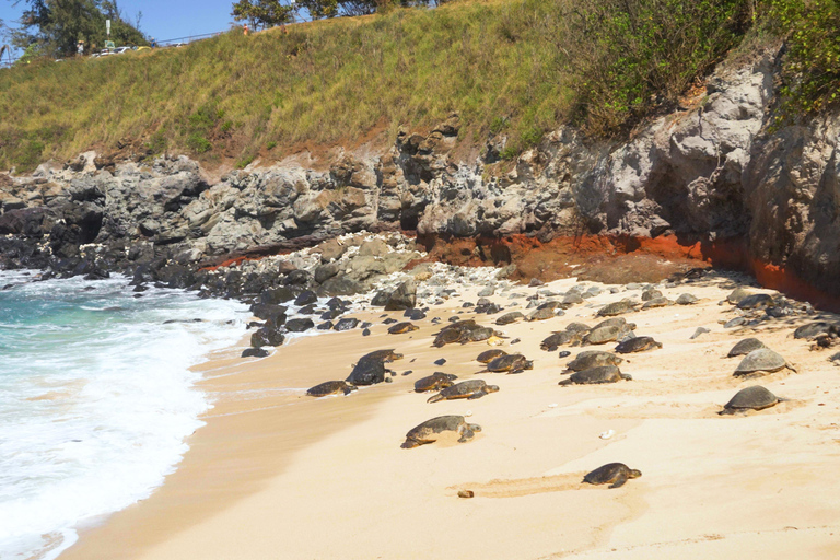 From Maui: Road to Hana Rainforest and Waterfall Experience