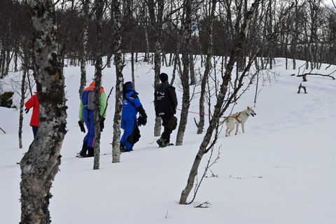 Oslo: Schneeschuhwandern im Wald mit norwegischem BBQ