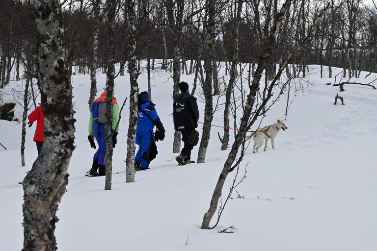 Oslo: Escursioni con le racchette da neve nella foresta con barbecue norvegese