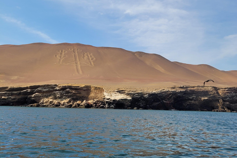 Ica: Full day to the Ballestas Islands and the Paracas National Reserve Ica: Full Day to the Ballestas Islands and Paracas National Reserve