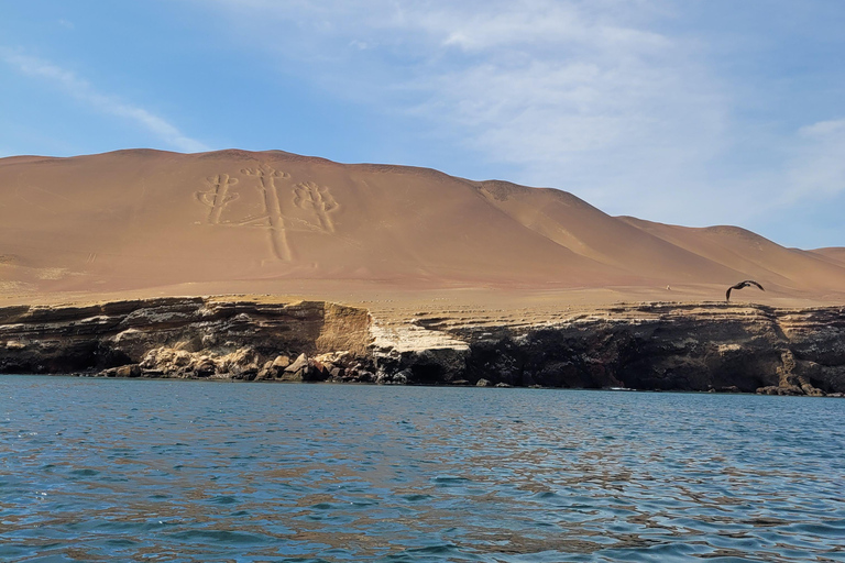 Ica: Full day to the Ballestas Islands and the Paracas National Reserve Ica: Full Day to the Ballestas Islands and Paracas National Reserve