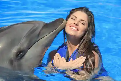 Cabo San Lucas: Dolphin Trainer For a Day Experience