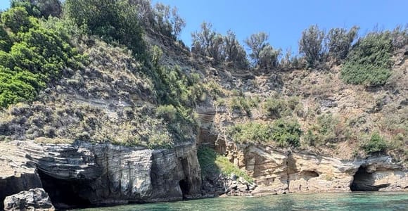 Ischia: Guided boat tour to Procida with swimming stops and a multilingual guide