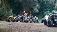 Bracciano, visite à vélo de 4 heures quad - Hizvo