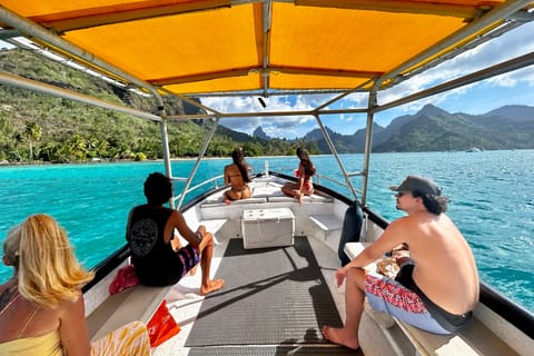 Moorea : sortie en bateau partagée, baignade avec les baleines et snorkeling