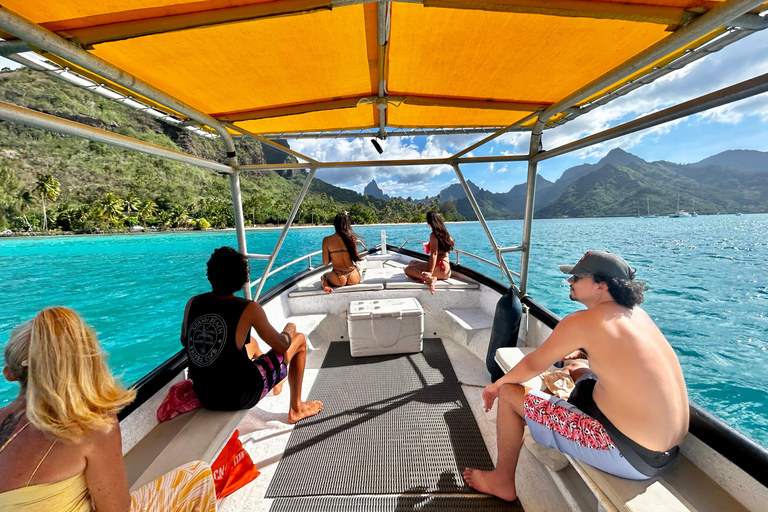 Moorea Shared Boat Tour Whale Swimming and Snorkeling Moorea 4H Shared Boat Tour Whale Swimming and Snorkeling