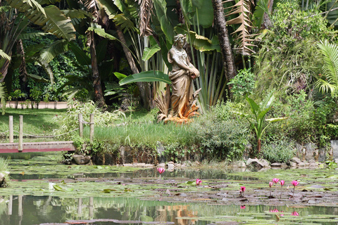 Tropical Wonders: Discover Rio's Jardim Botânico & Tijuca