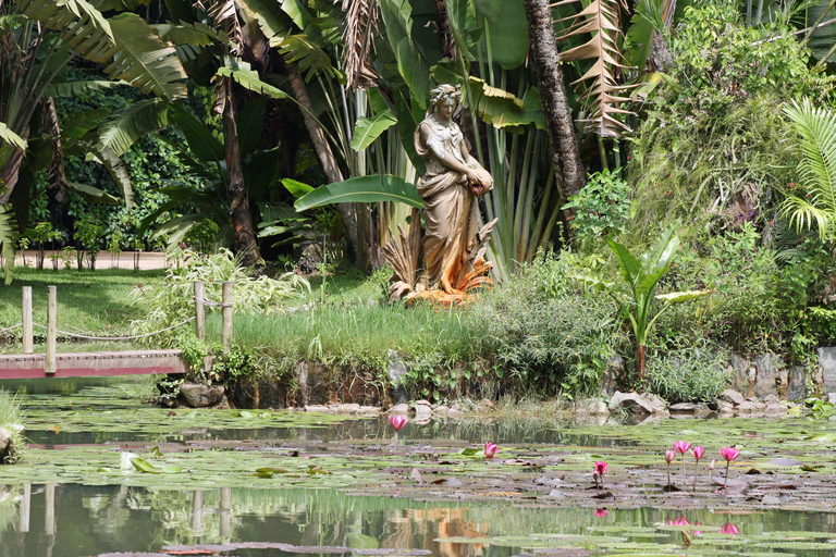 Maravillas Tropicales: Descubre el Jardín Botánico de Río y Tijuca