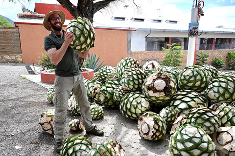 Oaxaca: Mezcal Distillery Tour mit Verkostungen