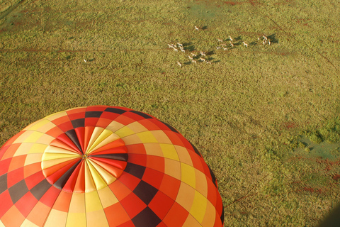 Cradle of Humankind: Balloon Flight & Breakfast
