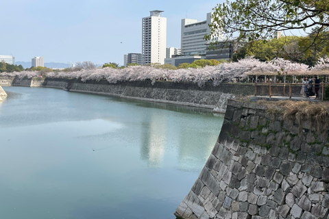 Osaka: Visita guiada de 3 horas ao Castelo e Museu Histórico de Osaka