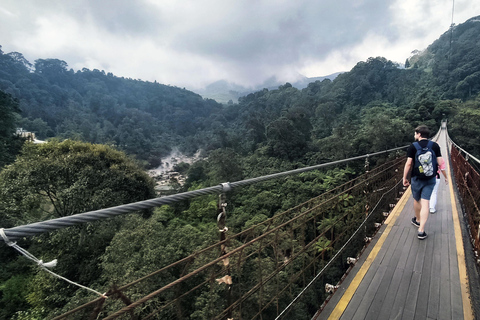 Bandung: White Crater, Scenic Tea Plantations & Hot Spring Open Tour: White Crater & Surroundings areas. with Tickets