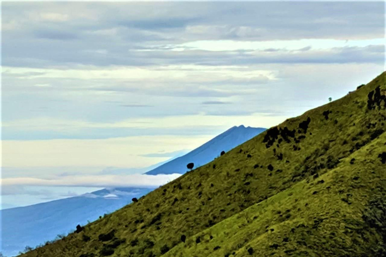 Von Yogyakarta aus: Berg Merbabu TageswanderungMount Merbabu Tageswanderung