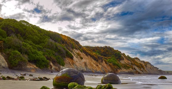 From Queenstown: Private Moeraki Boulders & Oamaru Day Tour