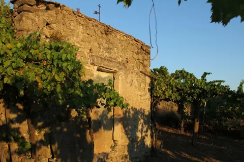 Tour gastronômico e degustação de vinhos com comida em Castelli Romani