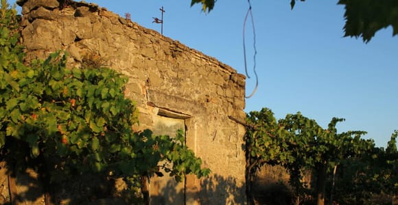 Wine Tasting & Medieval Town Visit at Castelli Romani