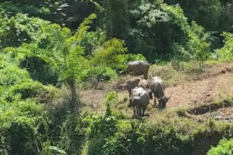 Luang Prabang : 3 jours de vie en forêt ethnique - Mékong