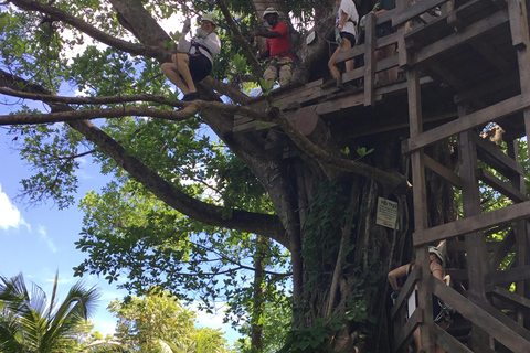 Montego Bay : Trou bleu, chutes de la rivière Dunn et excursion en tyrolienne