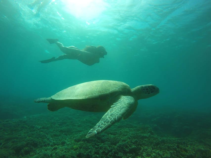Lombok : 4 jours Sea Nomad jusqu'à Labuan Bajo