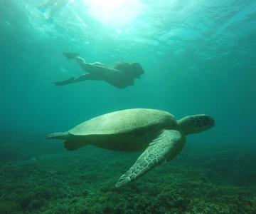 Lombok: 4-Day Sea Nomad Adventure to Labuan Bajo