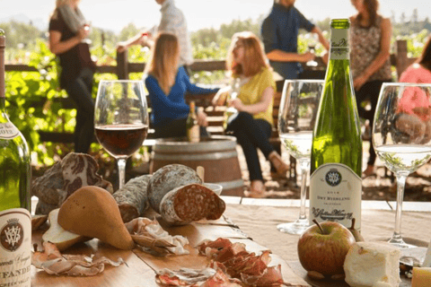 From San Jose: Small Group Napa & Sonoma Valley Wine Tour