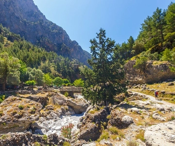 Desde Chania: Ruta de senderismo por la Garganta de Samaria - Camino fácil