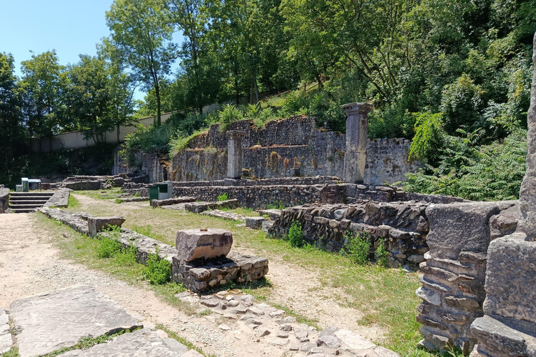 Lyon: Guided Tour of Fourvière Basilica and the Roman Theaters Fourvière: Guided Tour of the Basilica and Roman Theaters