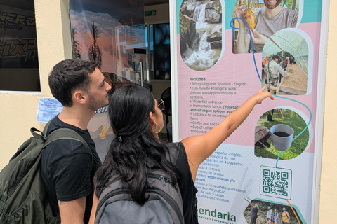 Coffee and Cacao Experience in Minca