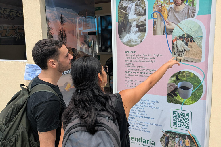 Coffee and Cacao Experience in Minca