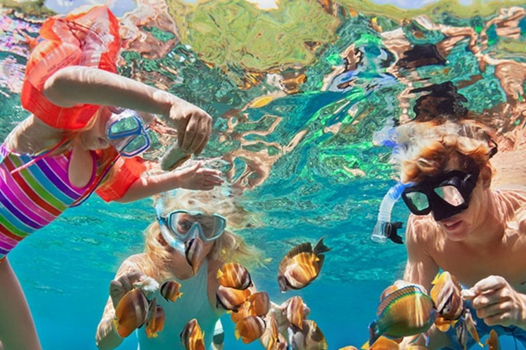 Bali/Nusa Dua: snorkeling, giro in barca con fondo trasparente e centro tartarugheTour per piccoli gruppi con trasferimento (Nusa Dua)