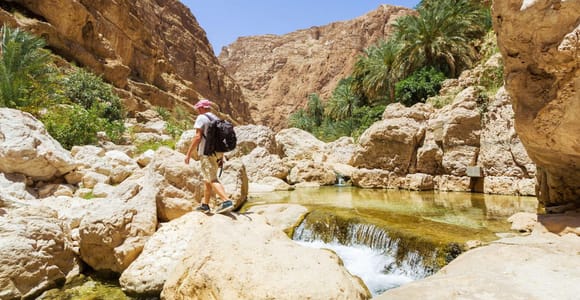 From Muscat: Wadi Shab and Sur Day Trip with Boat Ride