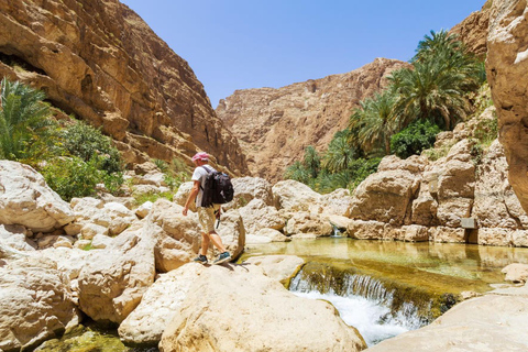 From Muscat: Wadi Shab and Sur Day Trip with Boat Ride