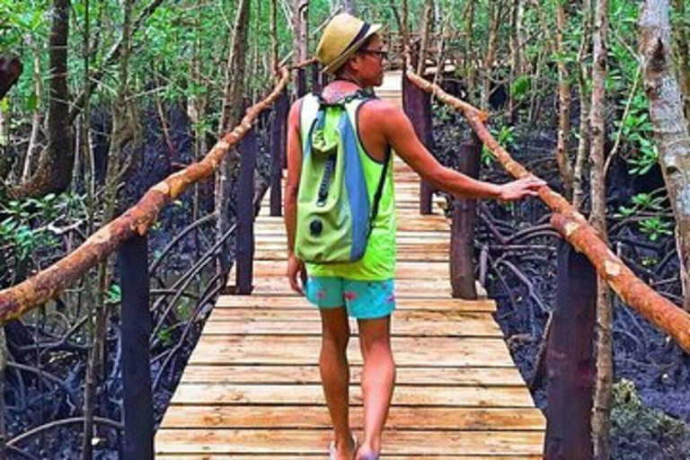 Zanzibar: małpy Jozani, ogród motyli i park gadówTransfer nie jest wliczony w cenę, a opłaty za wstęp pokrywacie sami.