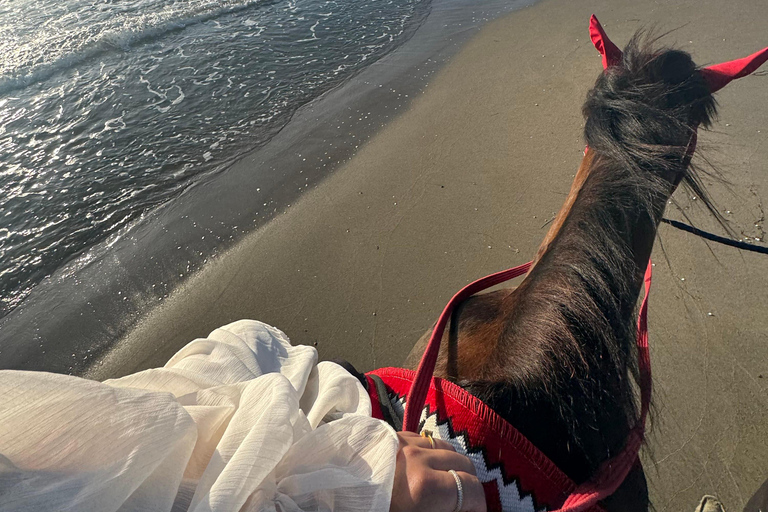 地拉那/都拉斯：弗拉凯海滩逃离与可选骑马体验地拉那/都拉斯：弗拉凯海滩度假与可选骑马活动