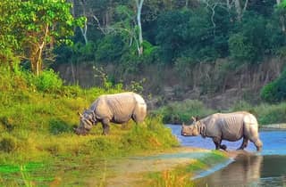 Ab Kathmandu: Wildnis von Chitwan & Himalaya-Ausflug nach Pokhara