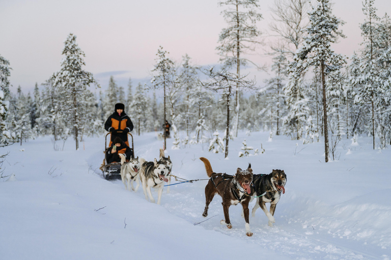 Rovaniemi: Full day Wilderness Tour by Husky Sled