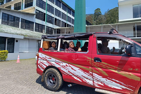 Från Kandy: Sigiriya dagstur med elefantsafari (grupp)